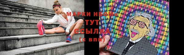 гидра Алзамай