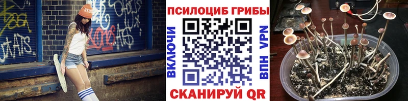 Галлюциногенные грибы ЛСД  Кола 